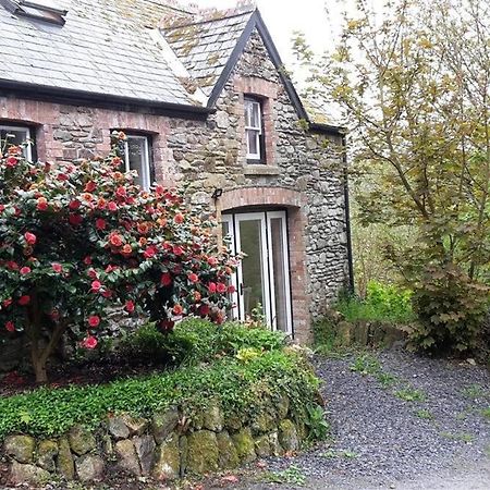 Cwmbrandy Cottage Fishguard Dış mekan fotoğraf