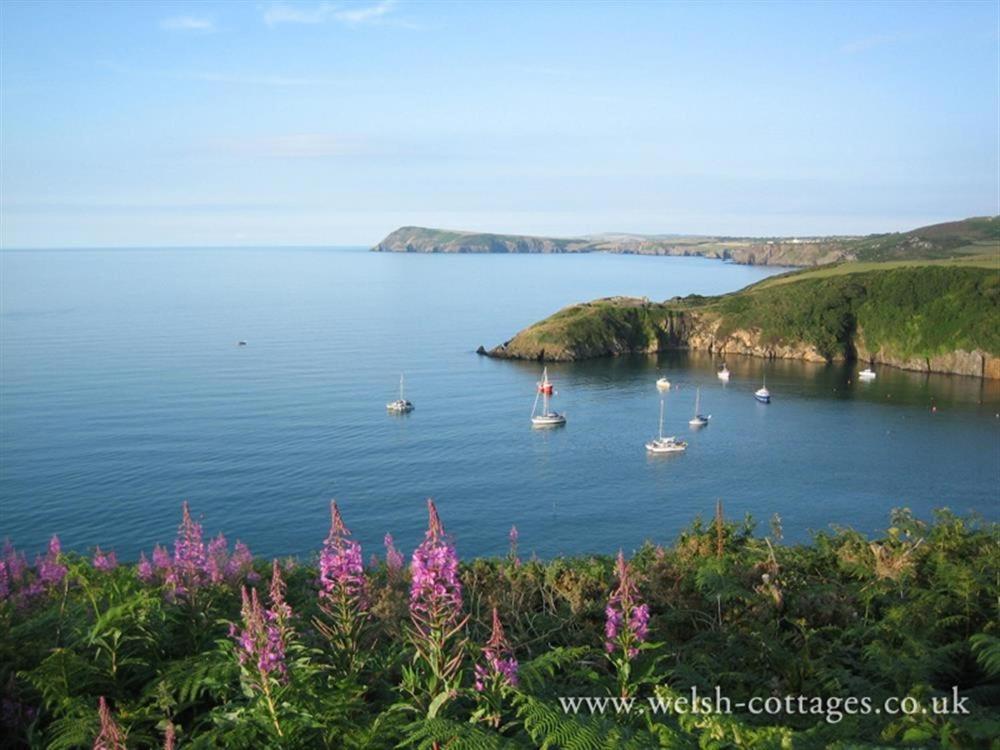 Cwmbrandy Cottage Fishguard Dış mekan fotoğraf