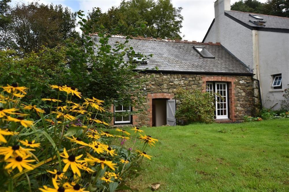 Cwmbrandy Cottage Fishguard Dış mekan fotoğraf