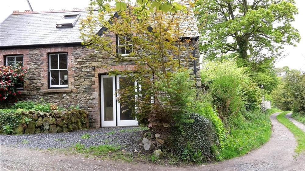 Cwmbrandy Cottage Fishguard Dış mekan fotoğraf